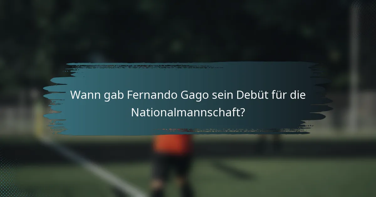 Wann gab Fernando Gago sein Debüt für die Nationalmannschaft?