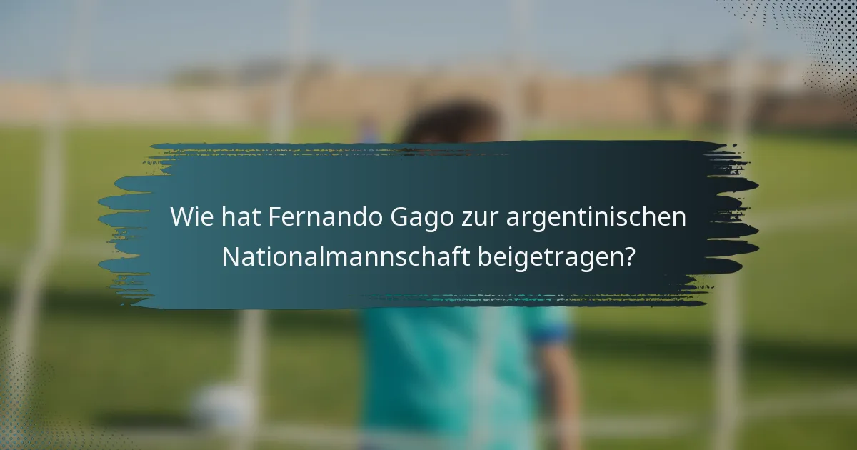 Wie hat Fernando Gago zur argentinischen Nationalmannschaft beigetragen?
